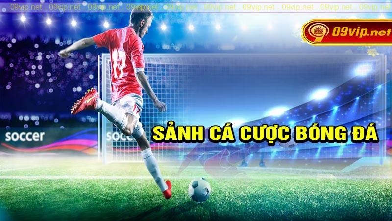 Sảnh cá cược bóng đá